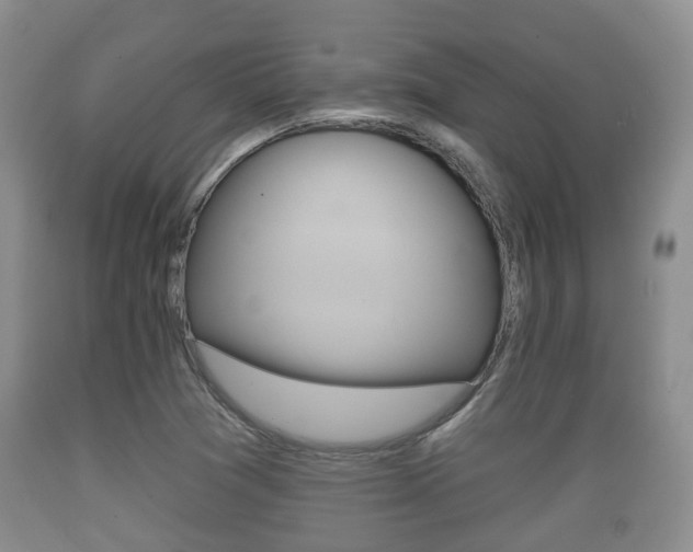 X0000089761361200706210944