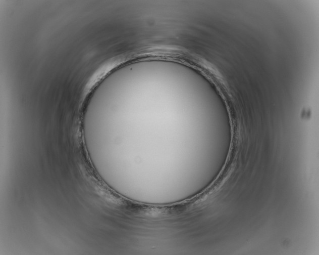 X0000089761362200706210944