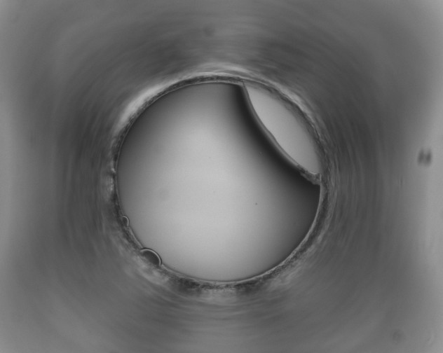 X0000089761363200706210944