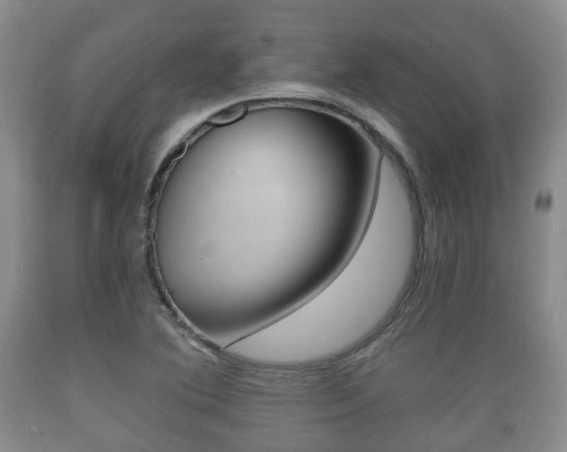 X0000089761364200706210944