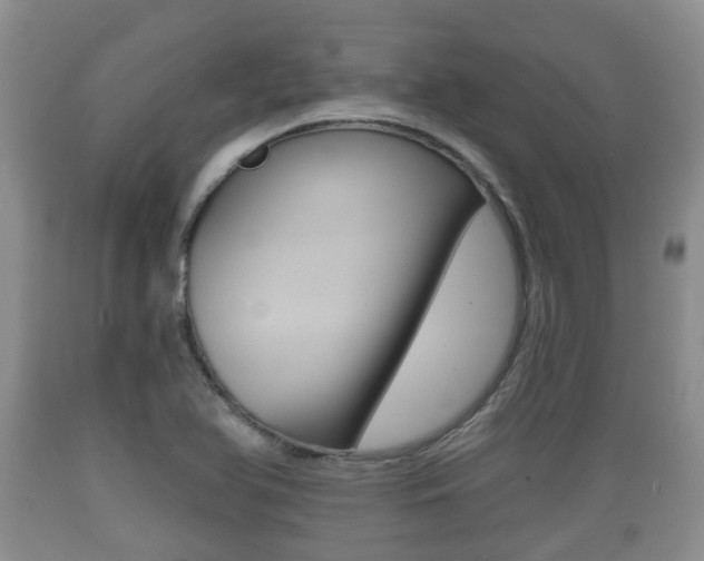 X0000089761366200706210944