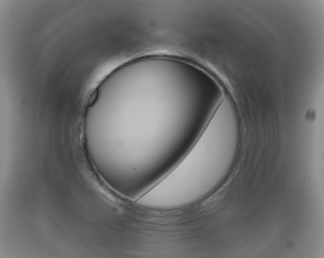 X0000089761367200706210944