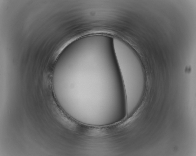 X0000089761369200706210944