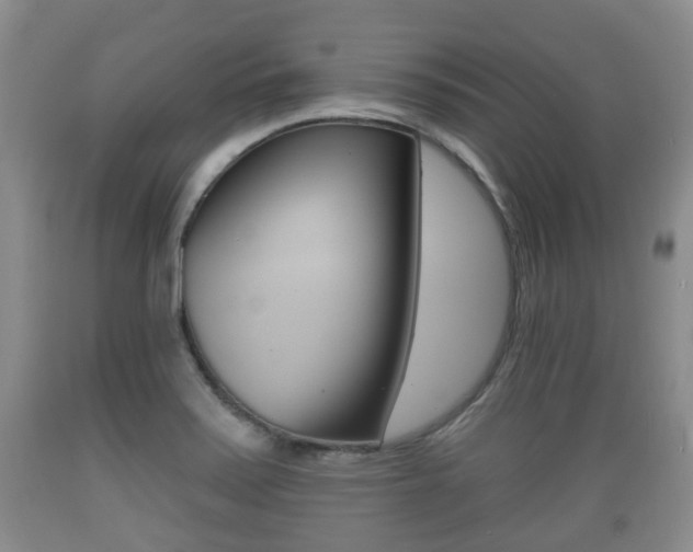 X0000089761371200706210944