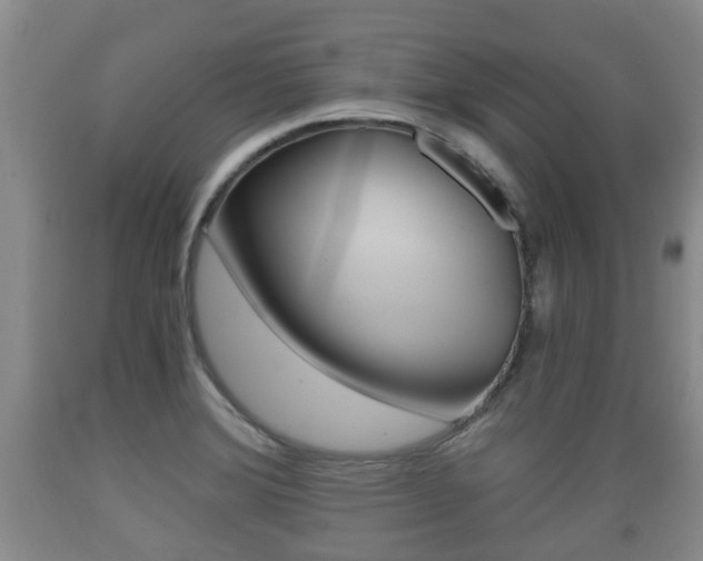 X0000089761372200706210944