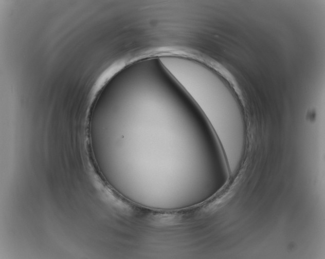 X0000089761373200706210944