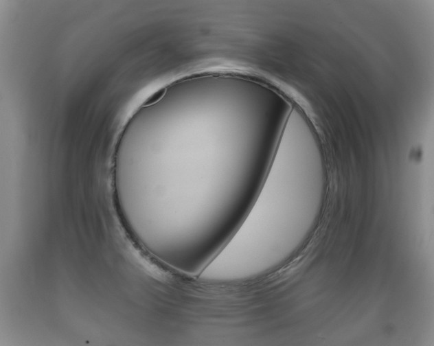 X0000089761375200706210944