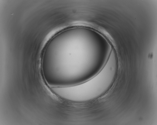 X0000089761376200706210944