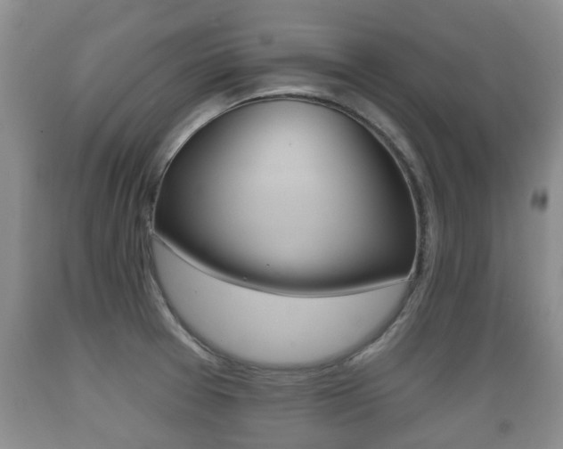 X0000089761377200706210944