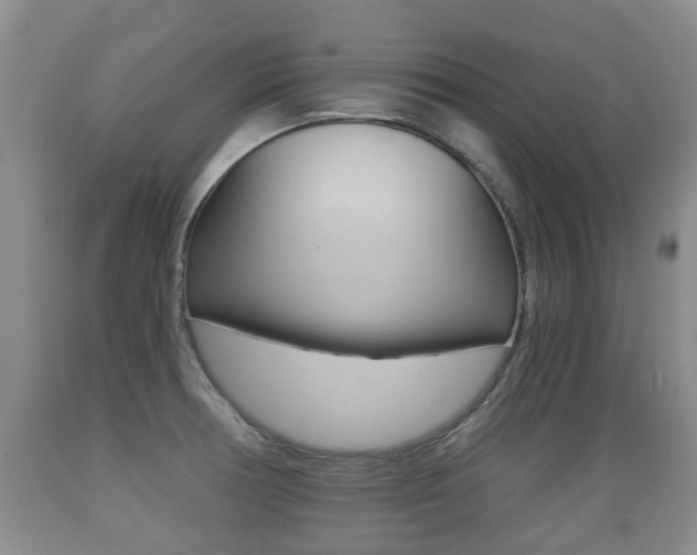 X0000089761378200706210944
