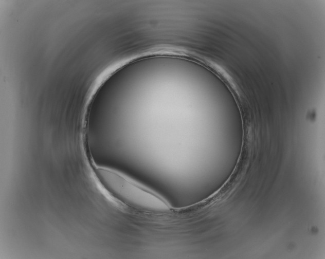 X0000089761379200706210944