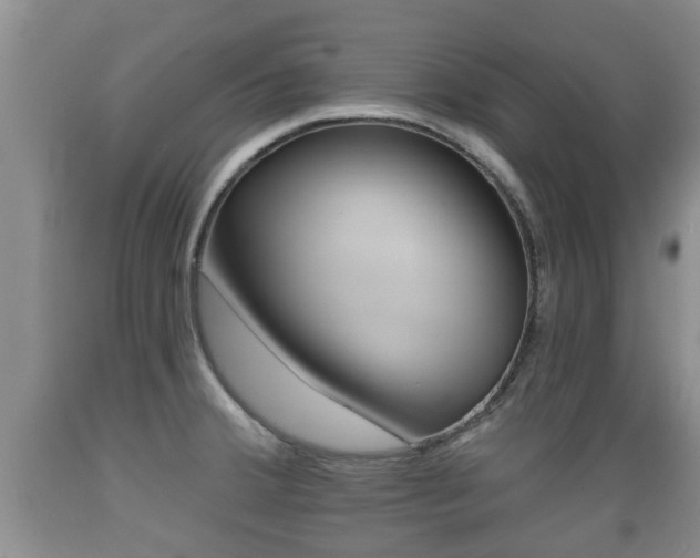 X0000089761380200706210944