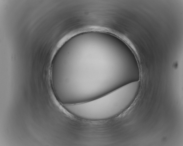 X0000089761381200706210944
