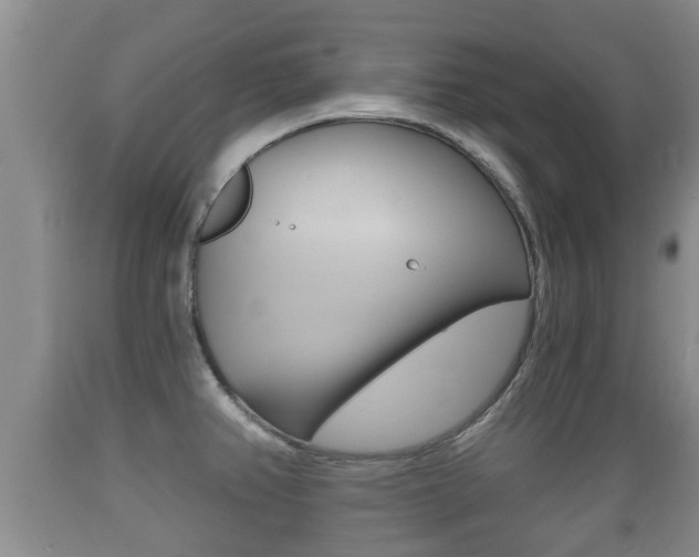 X0000089761382200706210944