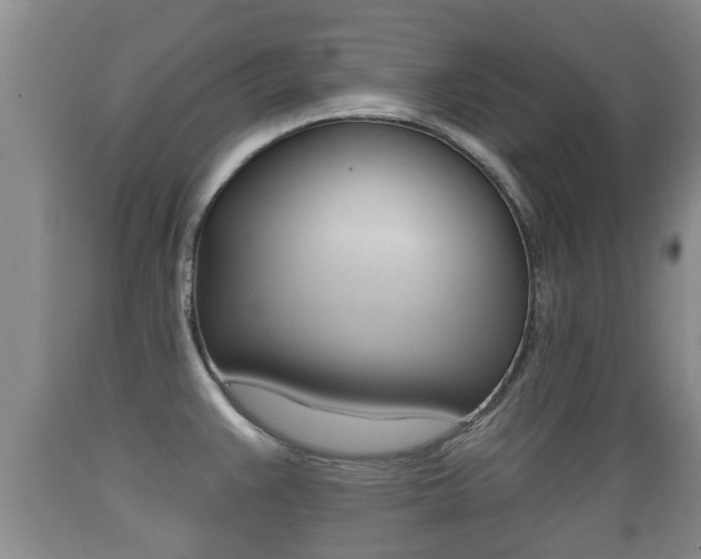 X0000089761383200706210944