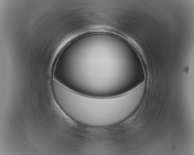 X0000089761384200706210944