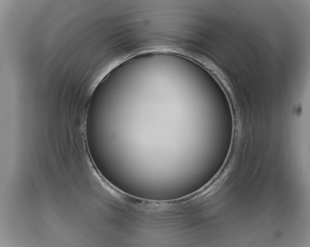 X0000089761385200706210944