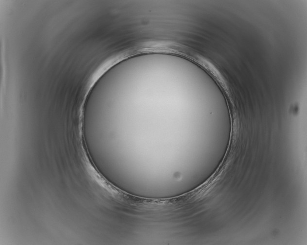 X0000089761386200706210944