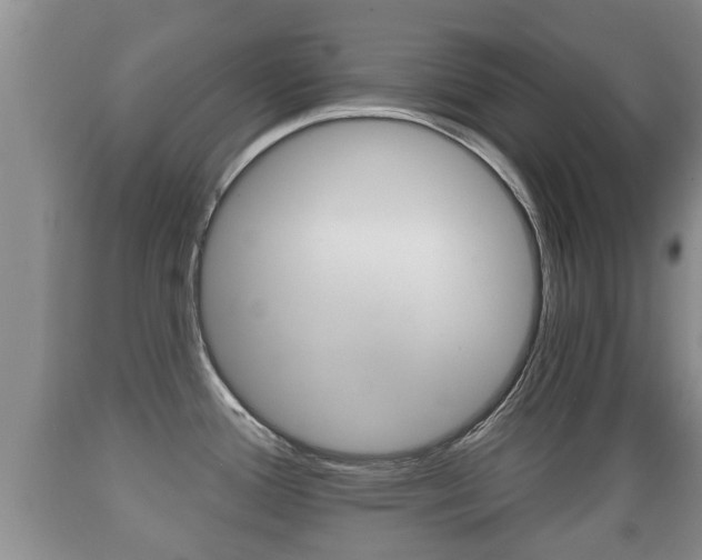 X0000089761388200706210944