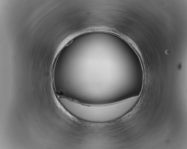 X0000089761389200706210944