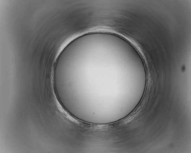 X0000089761390200706210944