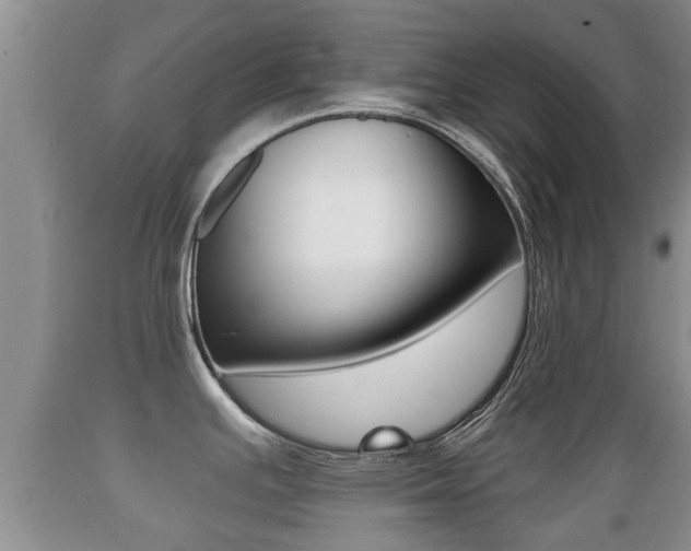 X0000089761391200706210944
