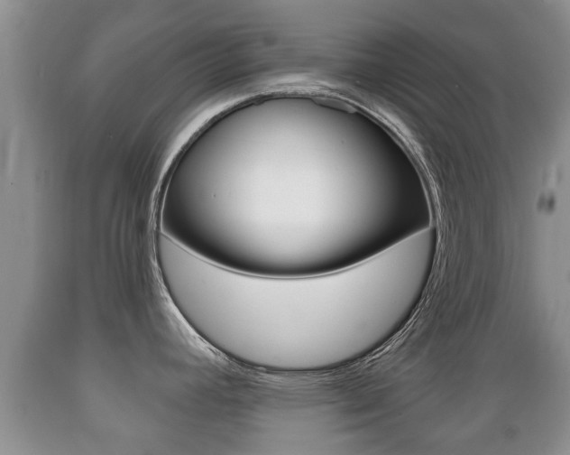 X0000089761392200706210944