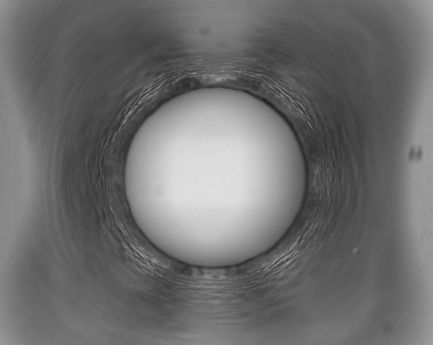 X0000089761393200706210943