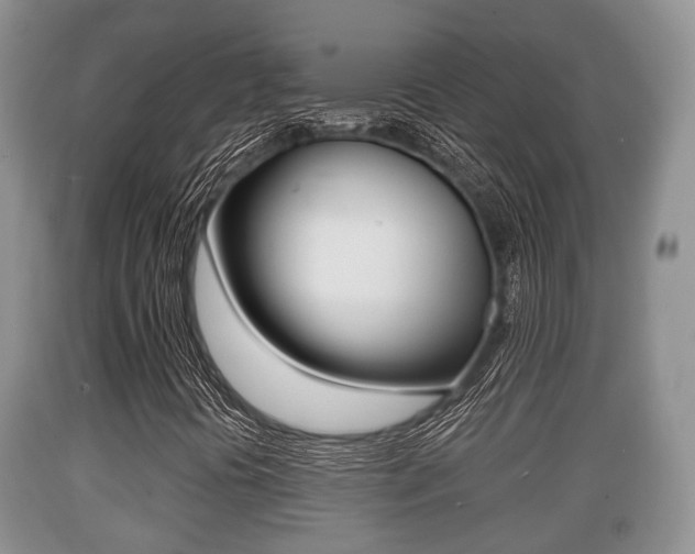 X0000089761394200706210943