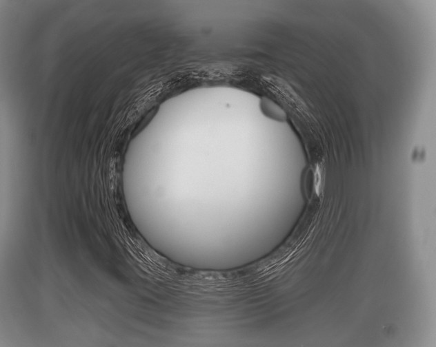 X0000089761395200706210943