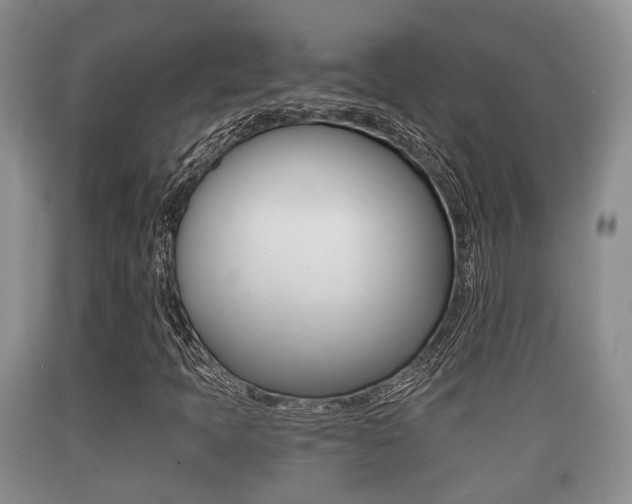 X0000089761397200706210943