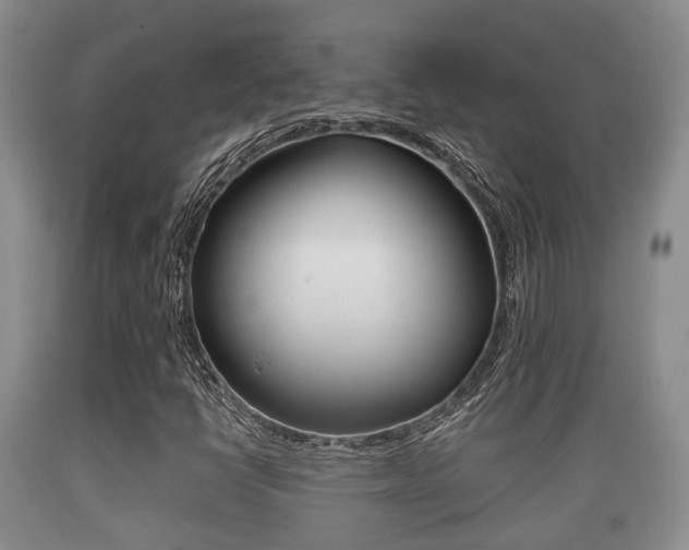 X0000089761398200706210943