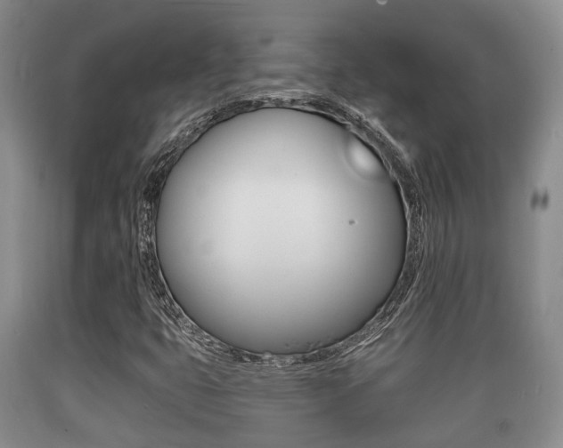 X0000089761399200706210943