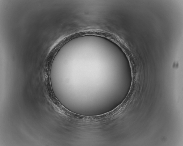 X0000089761400200706210943