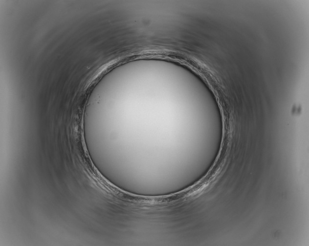X0000089761401200706210943