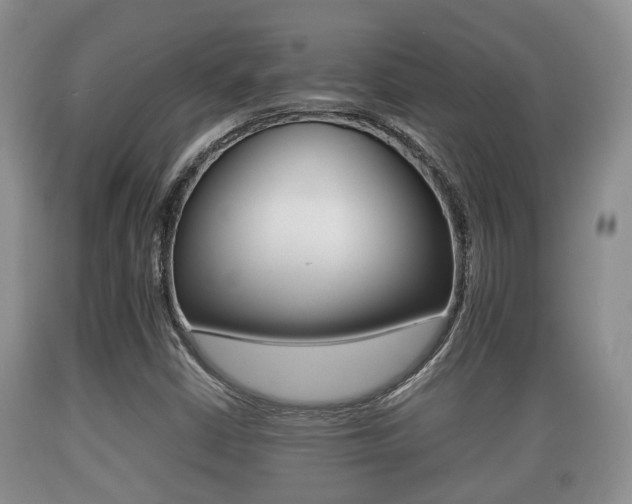 X0000089761402200706210943