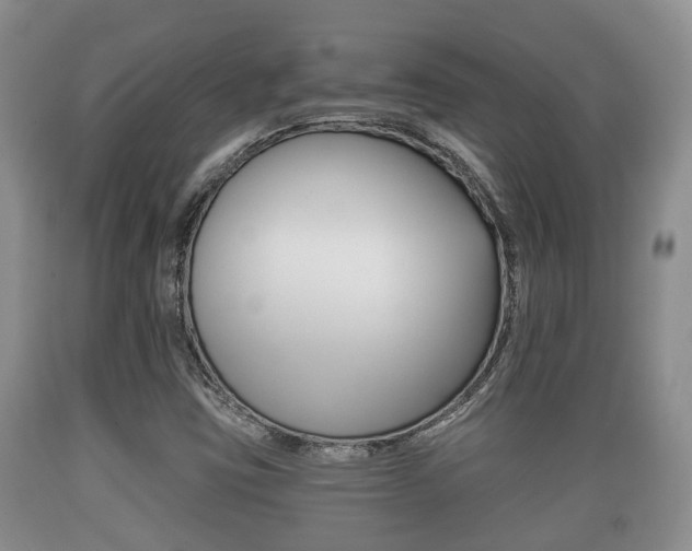 X0000089761403200706210943