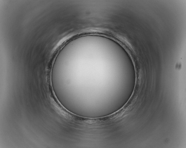 X0000089761404200706210943