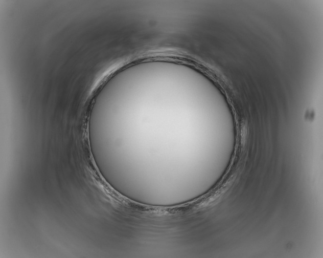 X0000089761405200706210943