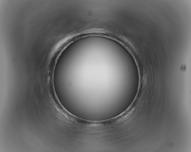 X0000089761406200706210943