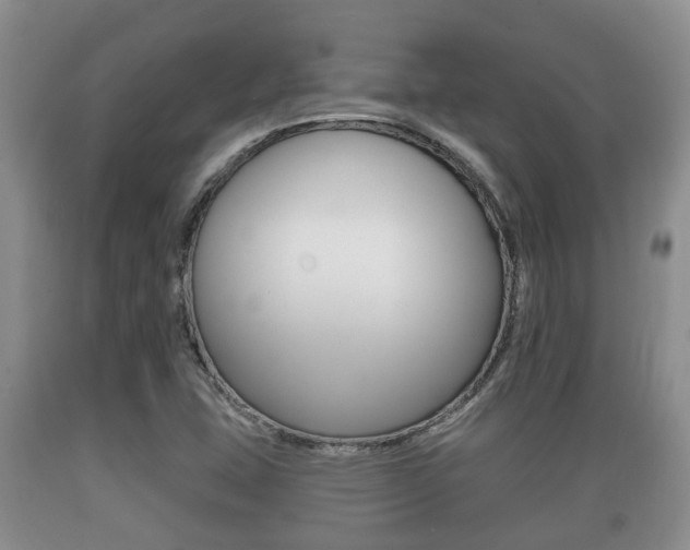 X0000089761407200706210943