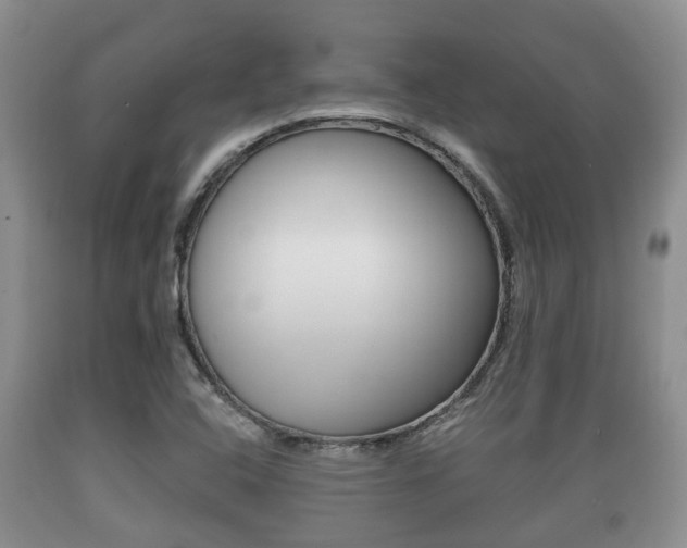 X0000089761408200706210943