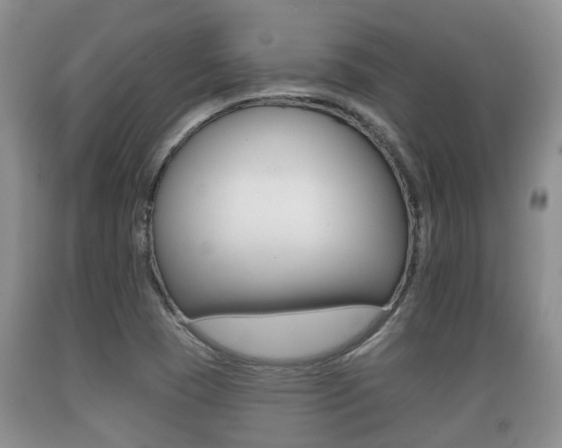 X0000089761409200706210943