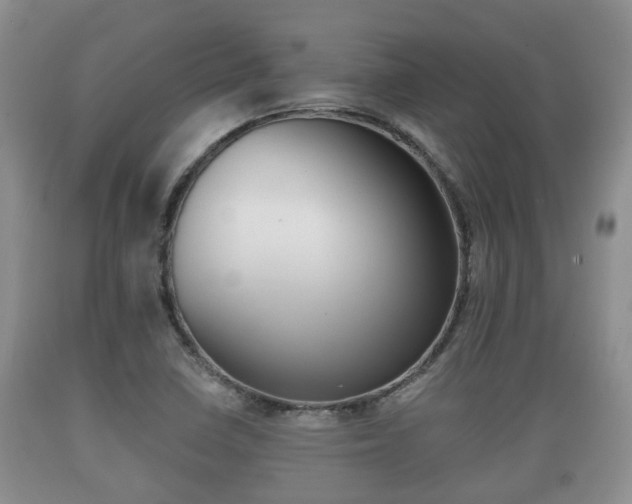 X0000089761410200706210943