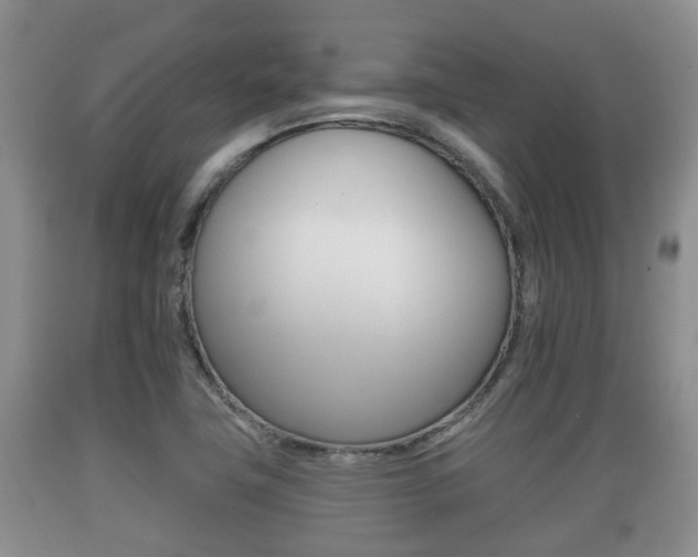 X0000089761411200706210943