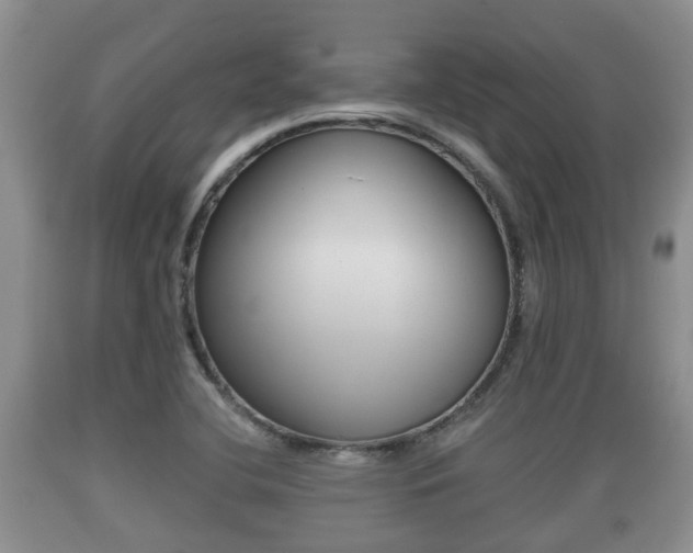 X0000089761412200706210943