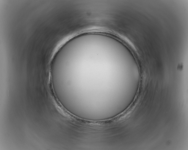 X0000089761413200706210943