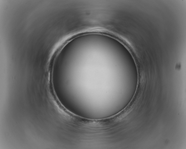 X0000089761414200706210943