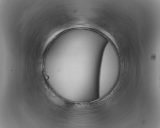 X0000089761415200706210943