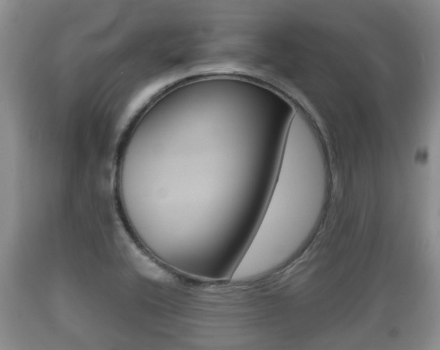 X0000089761416200706210943